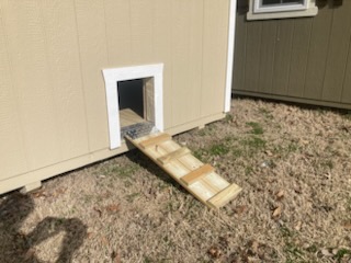 Chicken door with a wooden ramp on the side of a coop