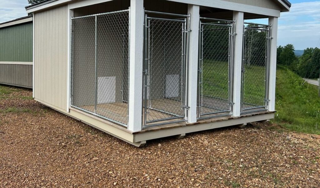 Three run dog kennel with divider walls and chain link gates